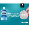 LISTERINE ® TOTAL CARE TARTAR PROTECT ARCTIC MINT MOUTHWASH 250 ML